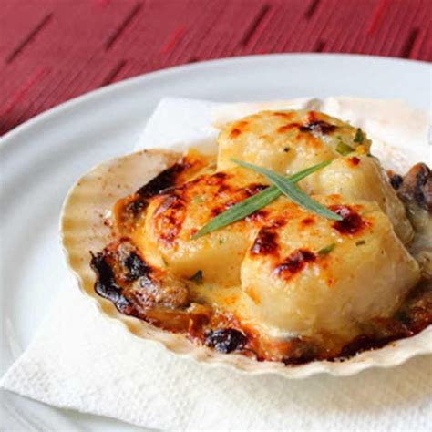 creamy coquilles saint jacques.